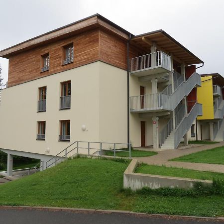Family Apartment Lipno Lake Lipno nad Vltavou Zewnętrze zdjęcie
