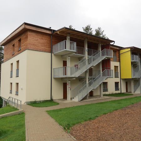 Family Apartment Lipno Lake Lipno nad Vltavou Zewnętrze zdjęcie